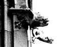 Gargoyles
