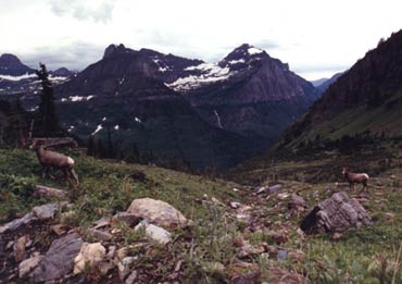 Glacier National Park