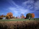 Farm