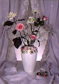 Pink Roses