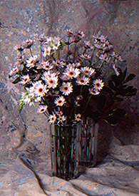 Painted Daisies