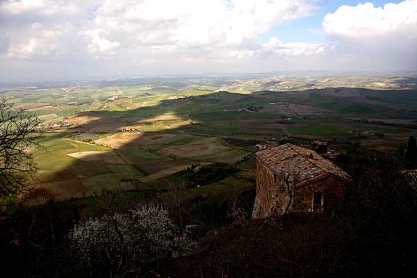Montacino