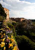 Siena