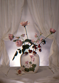 Sweet Pea 