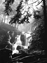 Timber Falls
